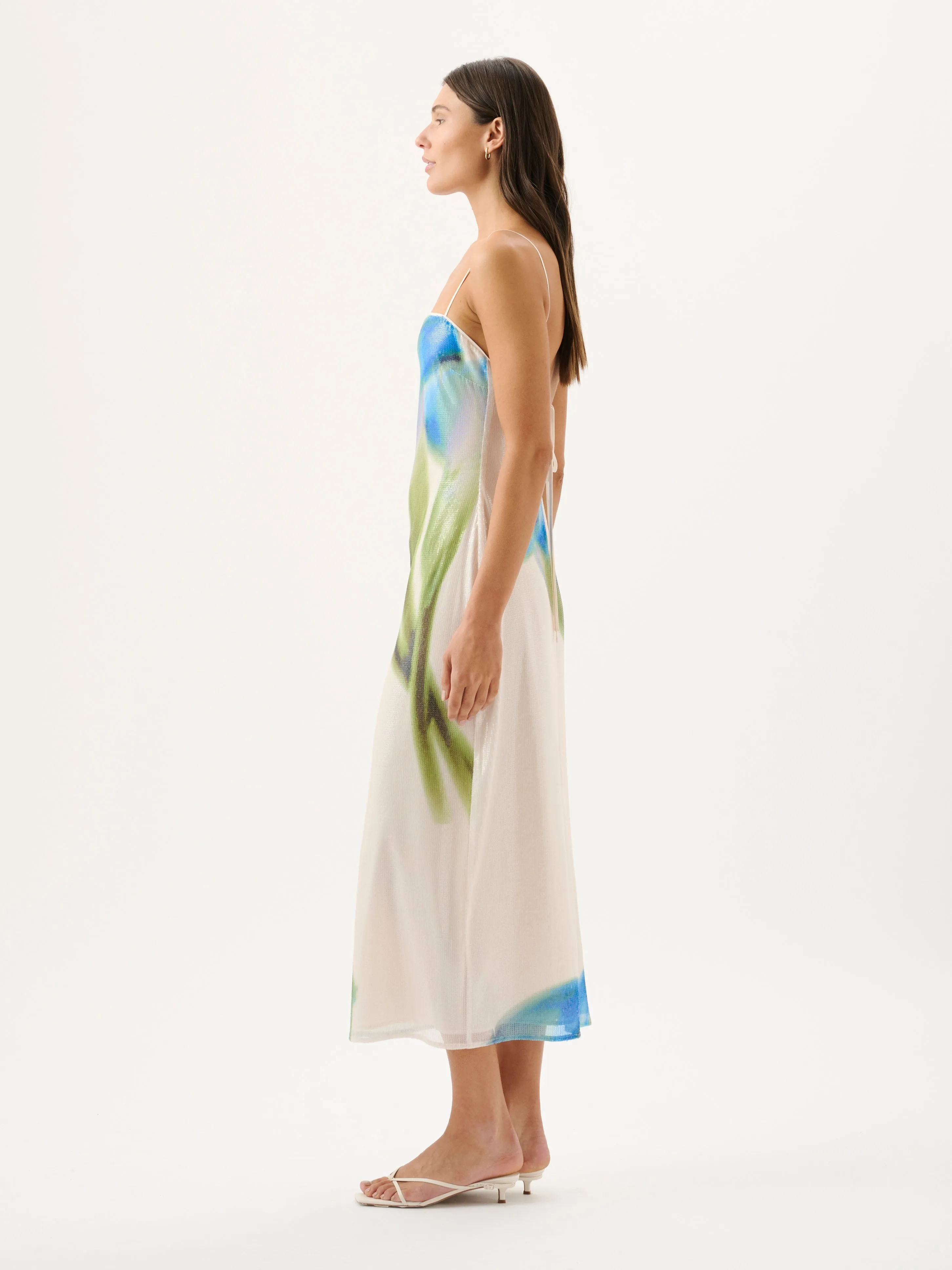 Tilda Dress | Starlit Lily sold by ROAME product image thumbnail 5