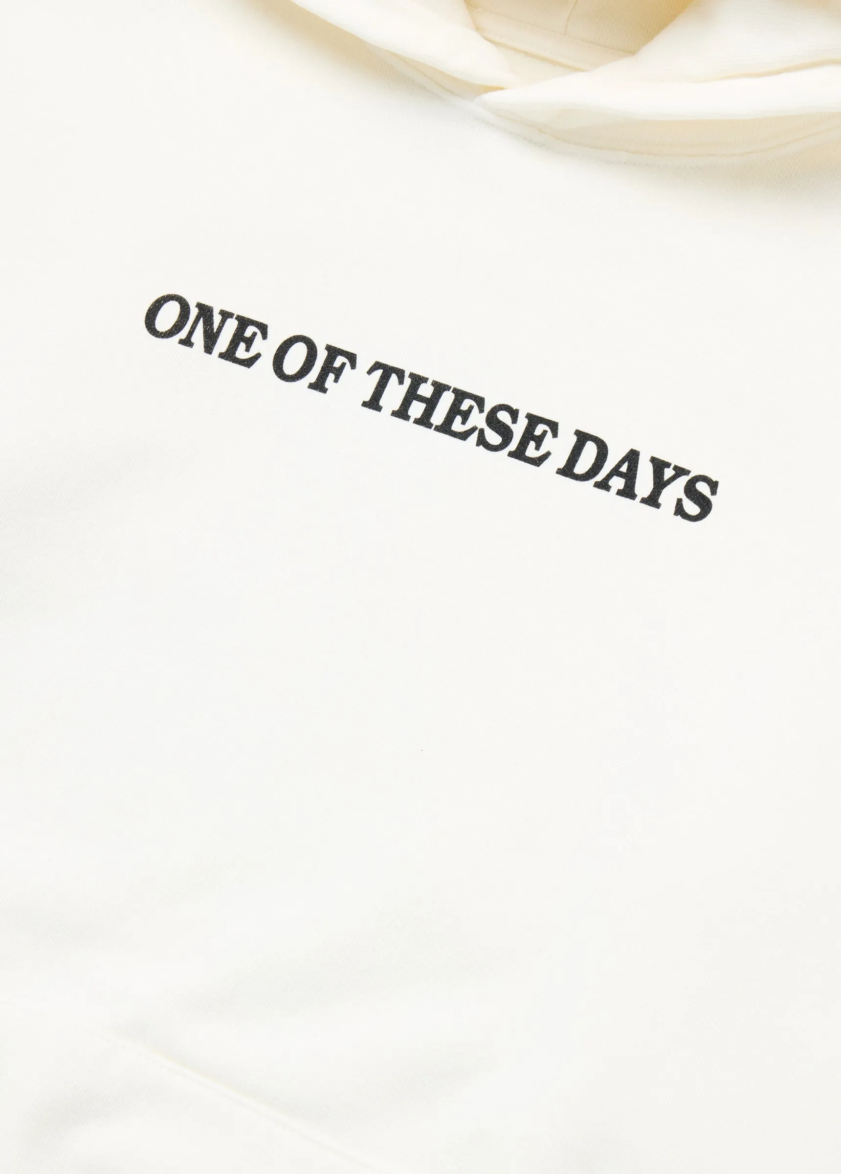 Xerox Running Horse Hoodie | Bone sold by One Of These Days product image thumbnail 3