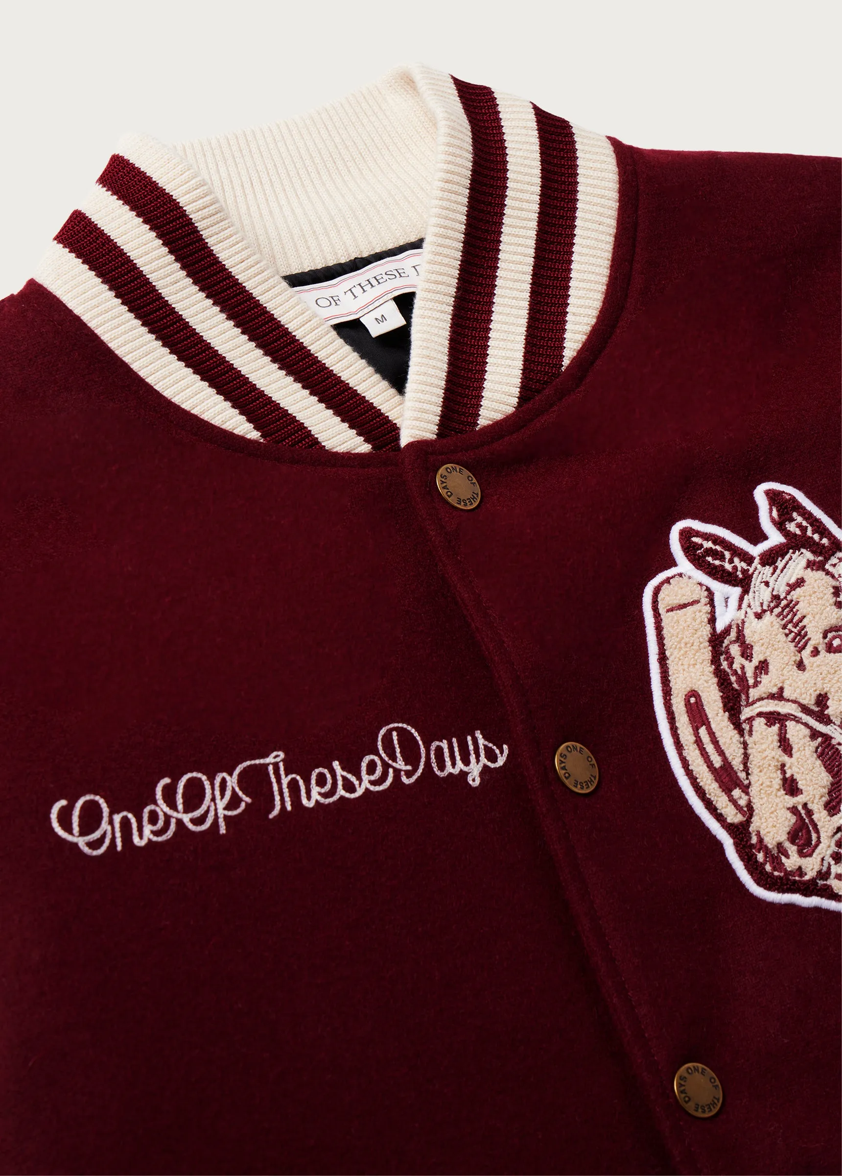 Horseshoe Varsity Jacket | Cardinal sold by One Of These Days product image thumbnail 5