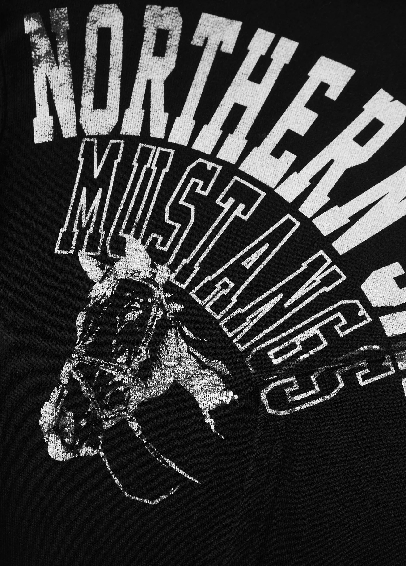 Mustangs Hooded Sweatshirt | Black sold by One Of These Days product image thumbnail 3