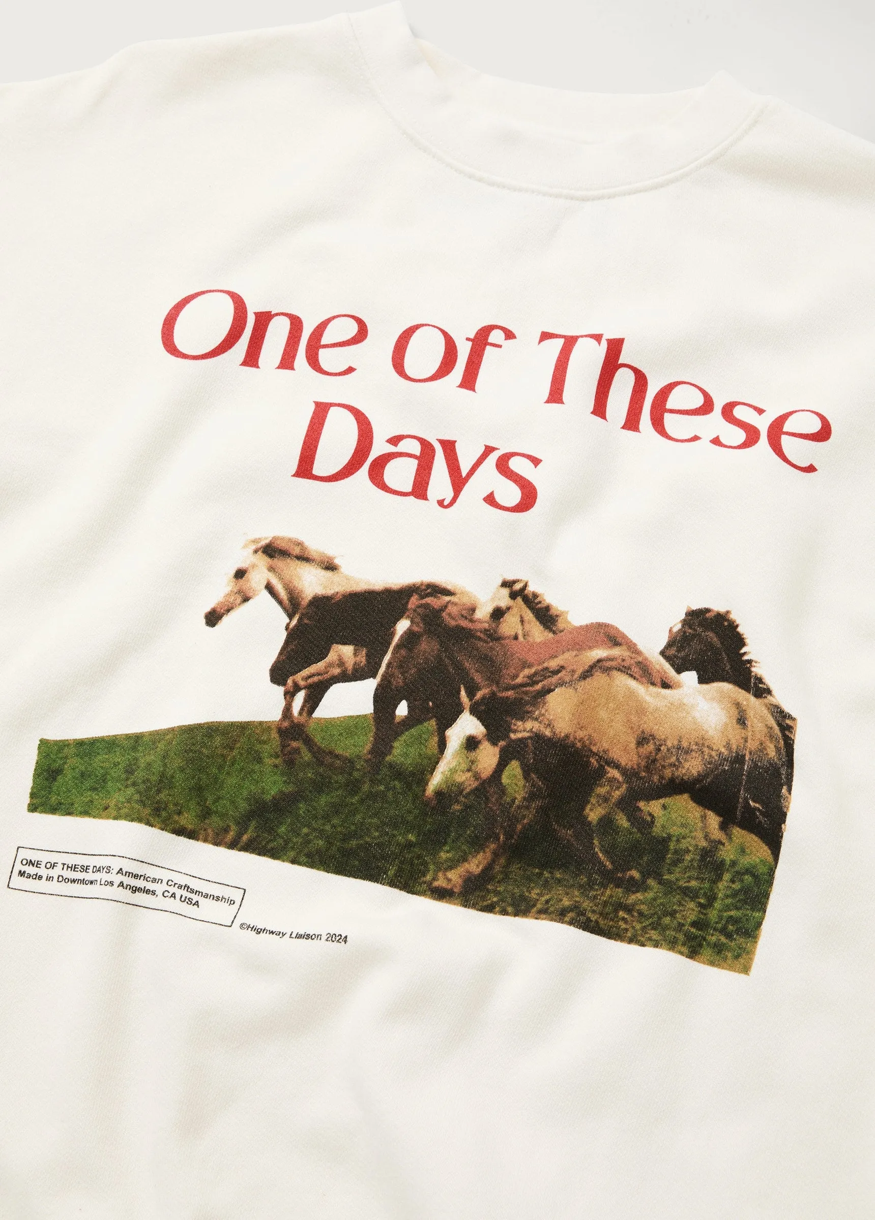 Wild Horses Crewneck | Bone sold by One Of These Days product image thumbnail 3