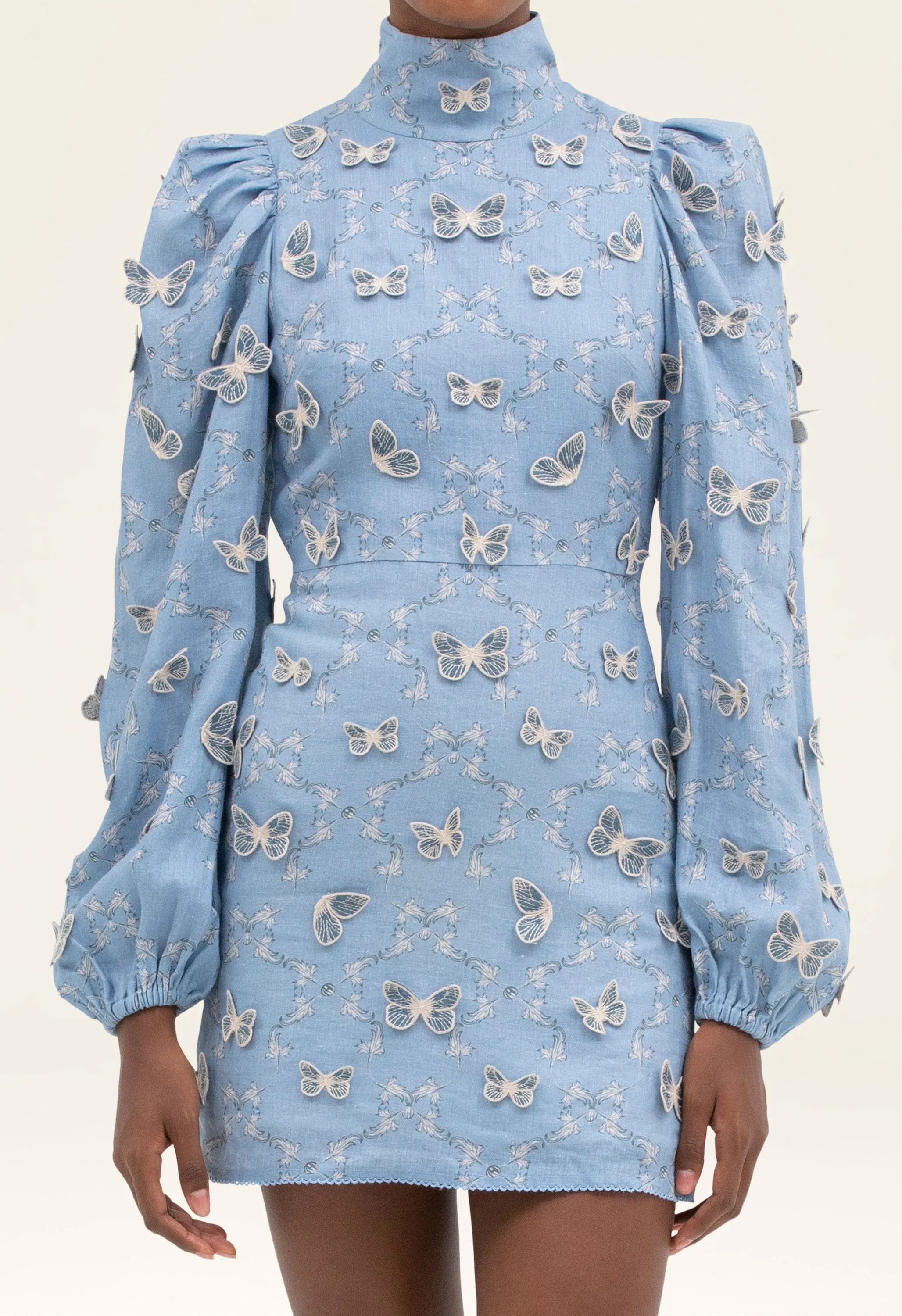 Guaba Lymanopoda Mini Dress sold by AGUA by Agua Bendita product image thumbnail 4