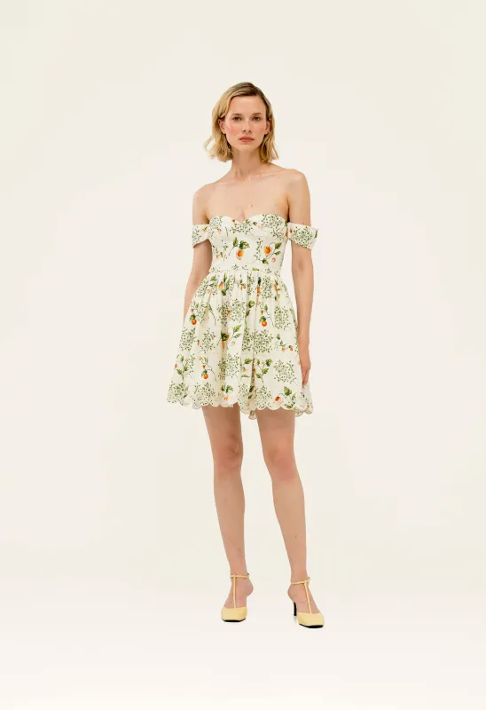 Poesia Uchuva Mini Dress made by AGUA by Agua Bendita