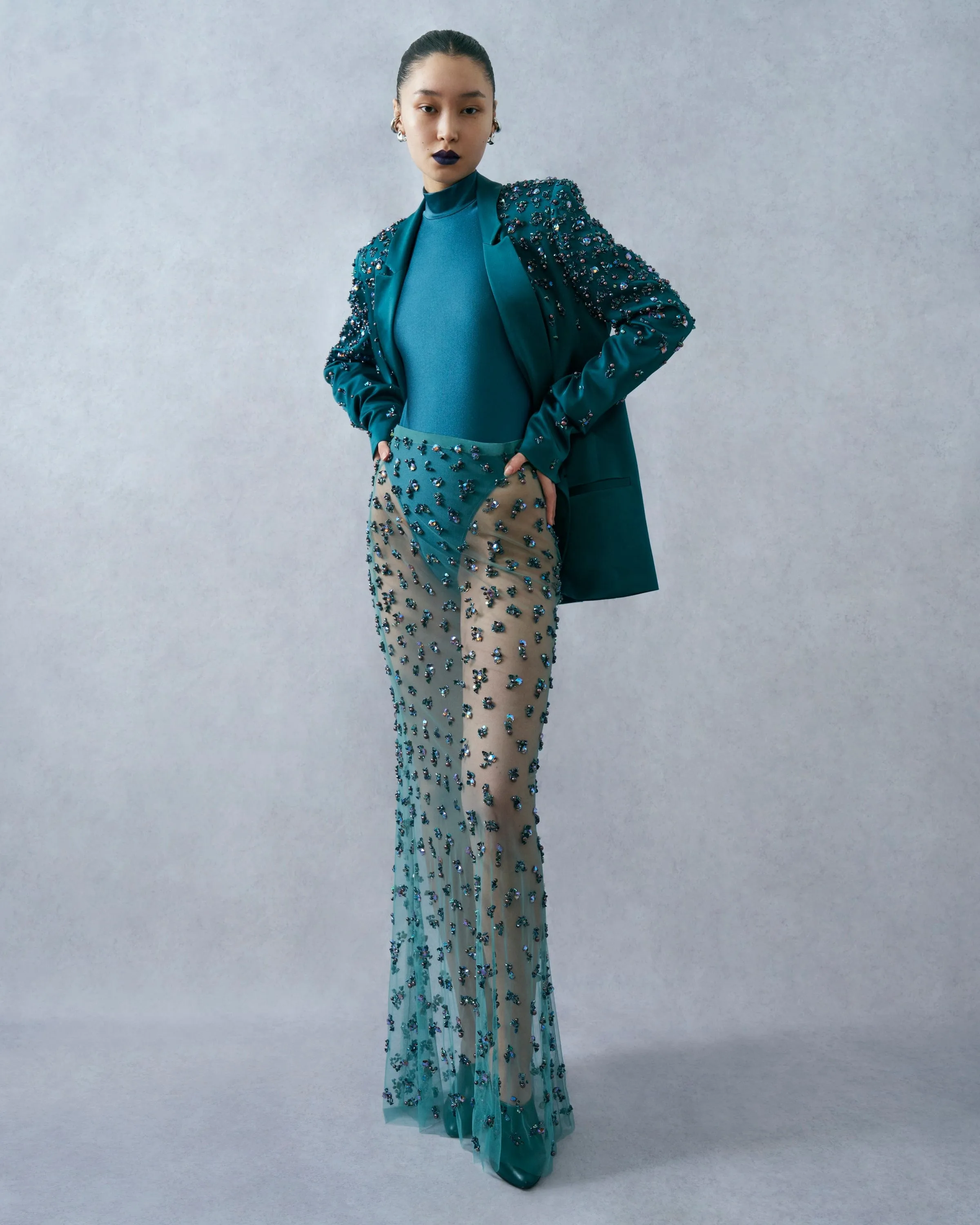 Degradé Cluster Embellished Flare Skirt sold by LAPOINTE