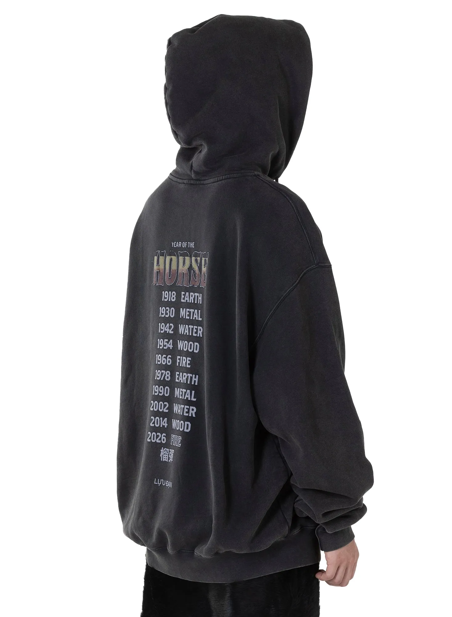 OVERSIZED HOODIE sold by LUU DAN product image thumbnail 5