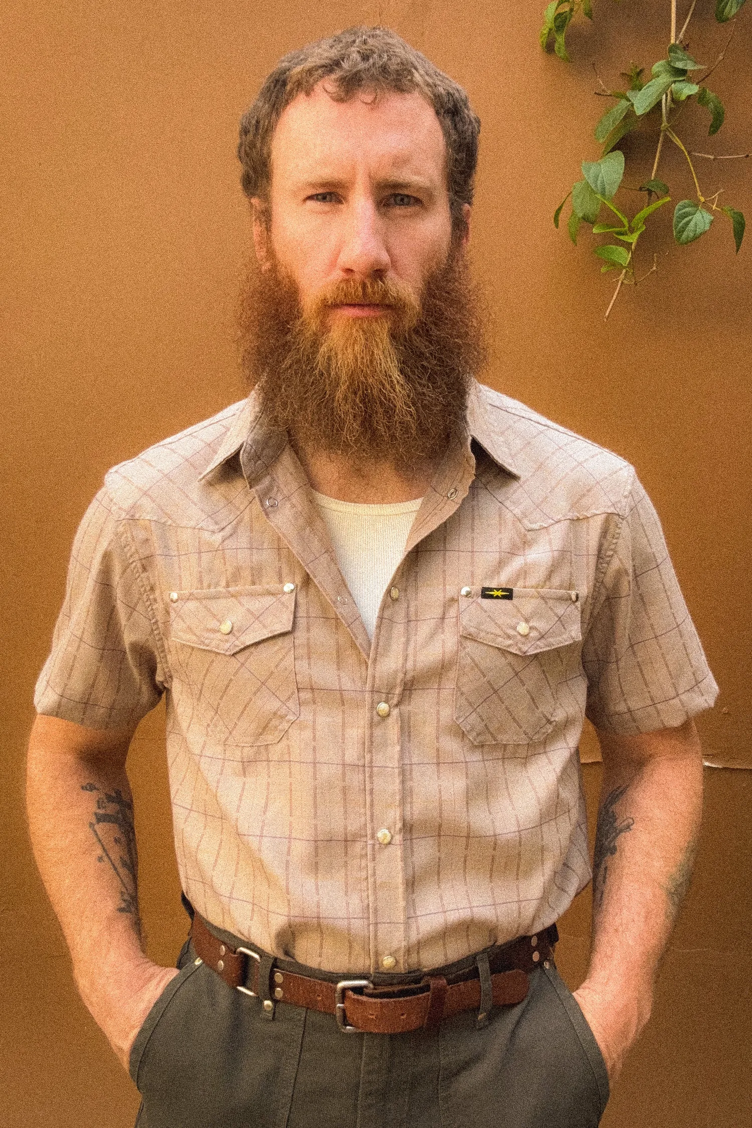 SHORT SLEEVE WESTERN SHIRT sold by PHIPPS product image thumbnail 2