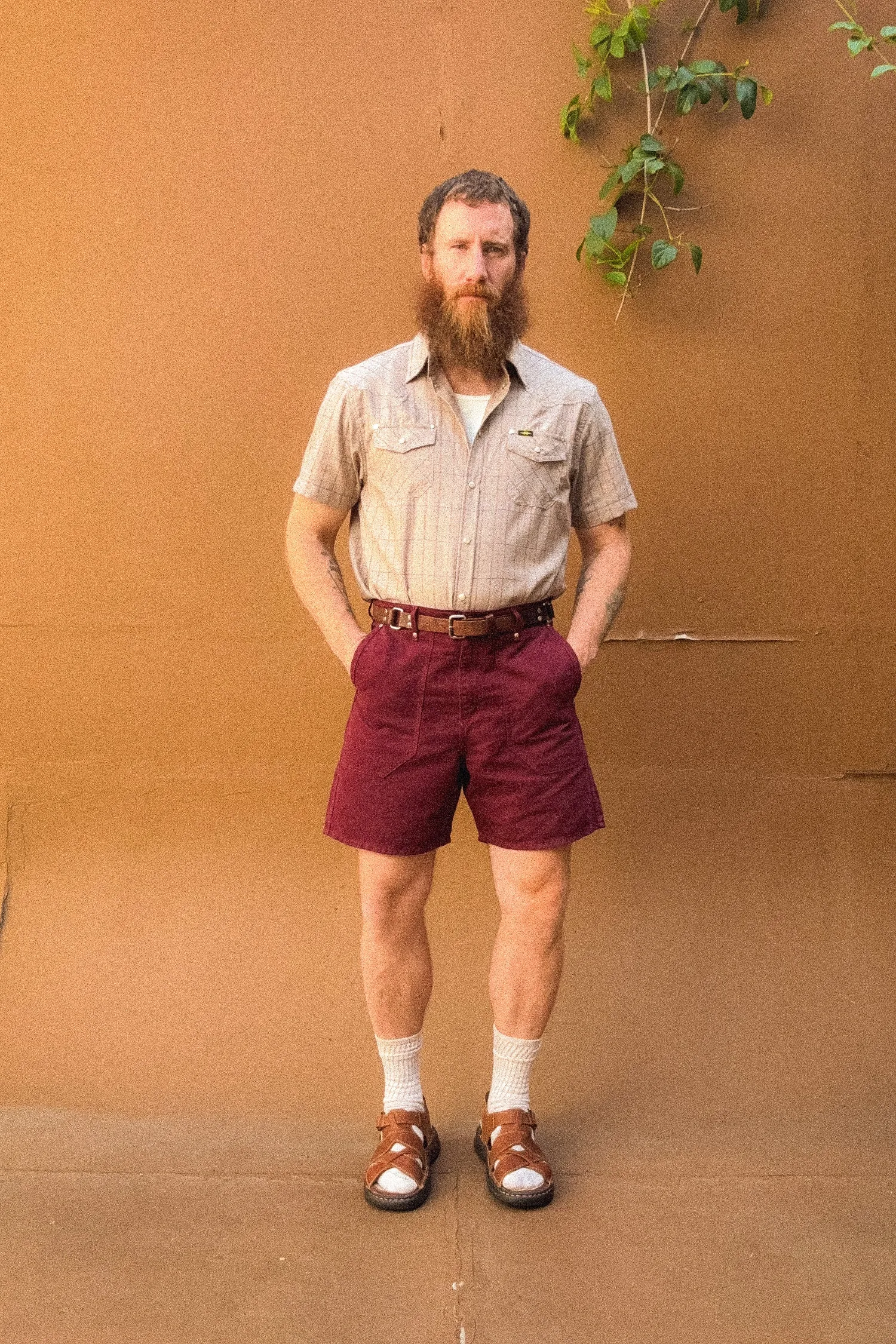 SHORT SLEEVE WESTERN SHIRT sold by PHIPPS product image thumbnail 4