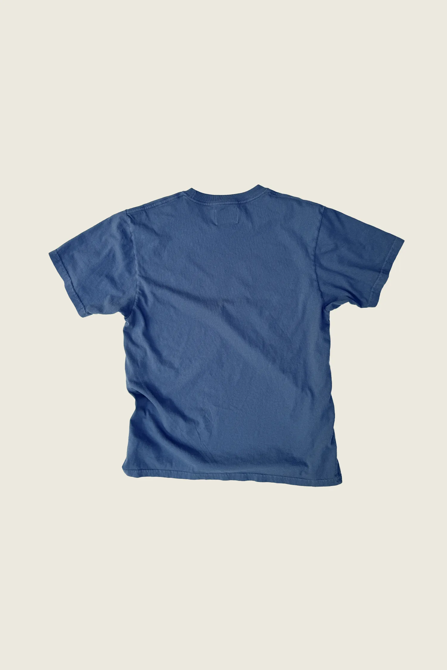 NATIONAL CHAMP T sold by PHIPPS product image thumbnail 4