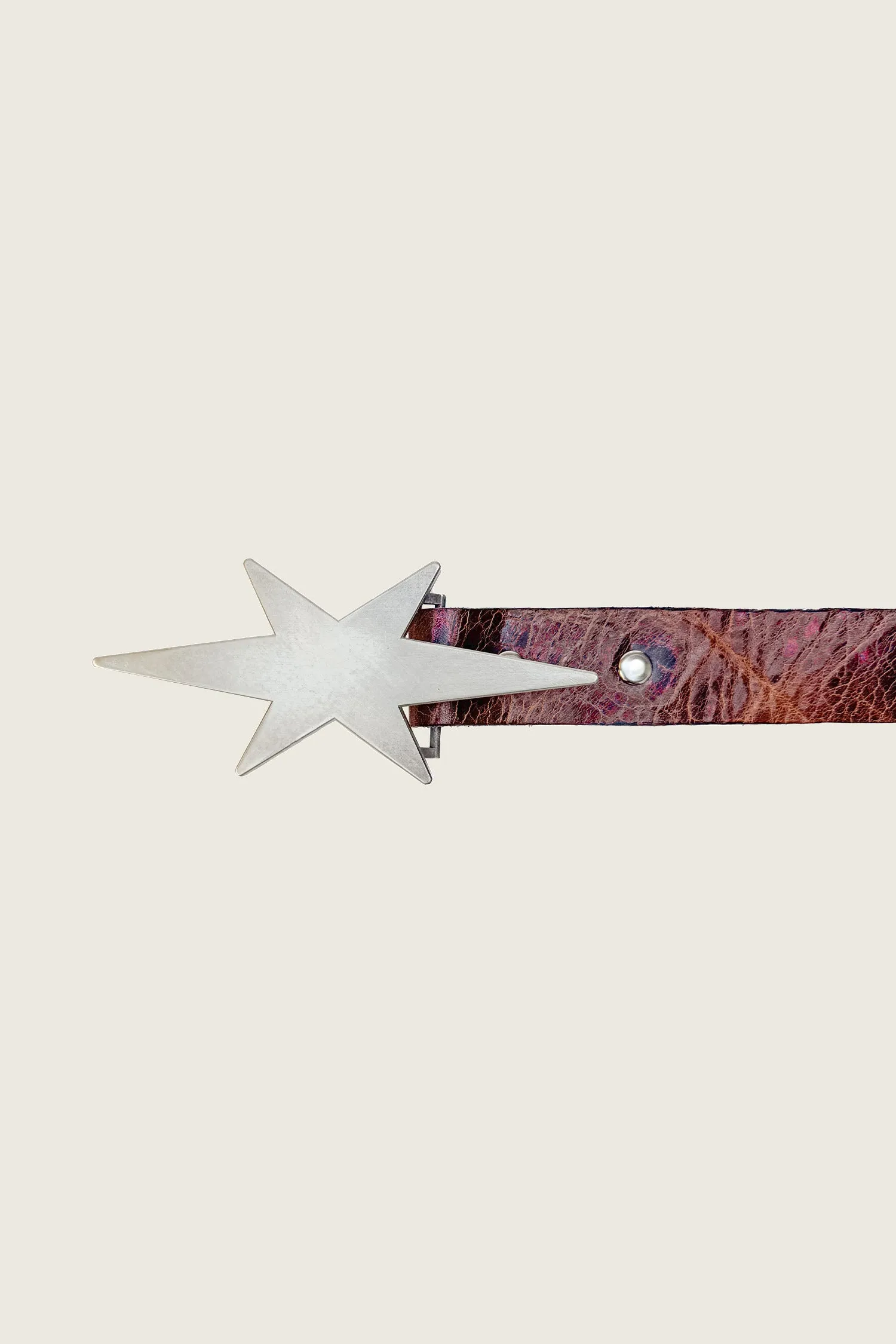 1 1/4" STAR LOGO BELT sold by PHIPPS product image thumbnail 2