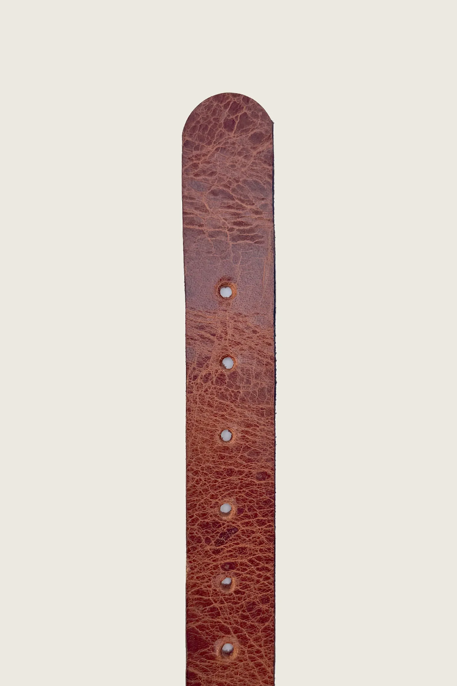 1 1/4" STAR LOGO BELT sold by PHIPPS product image thumbnail 3
