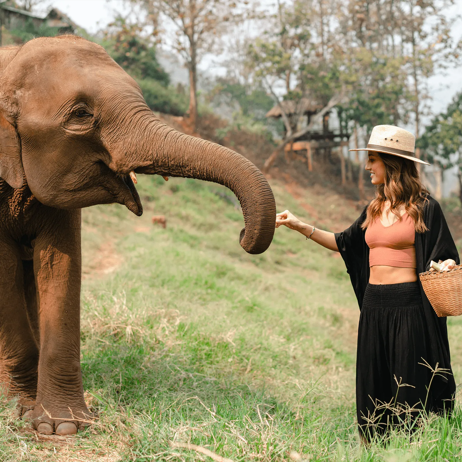 Black Lounge Set sold by Lotus & Luna product image thumbnail 5