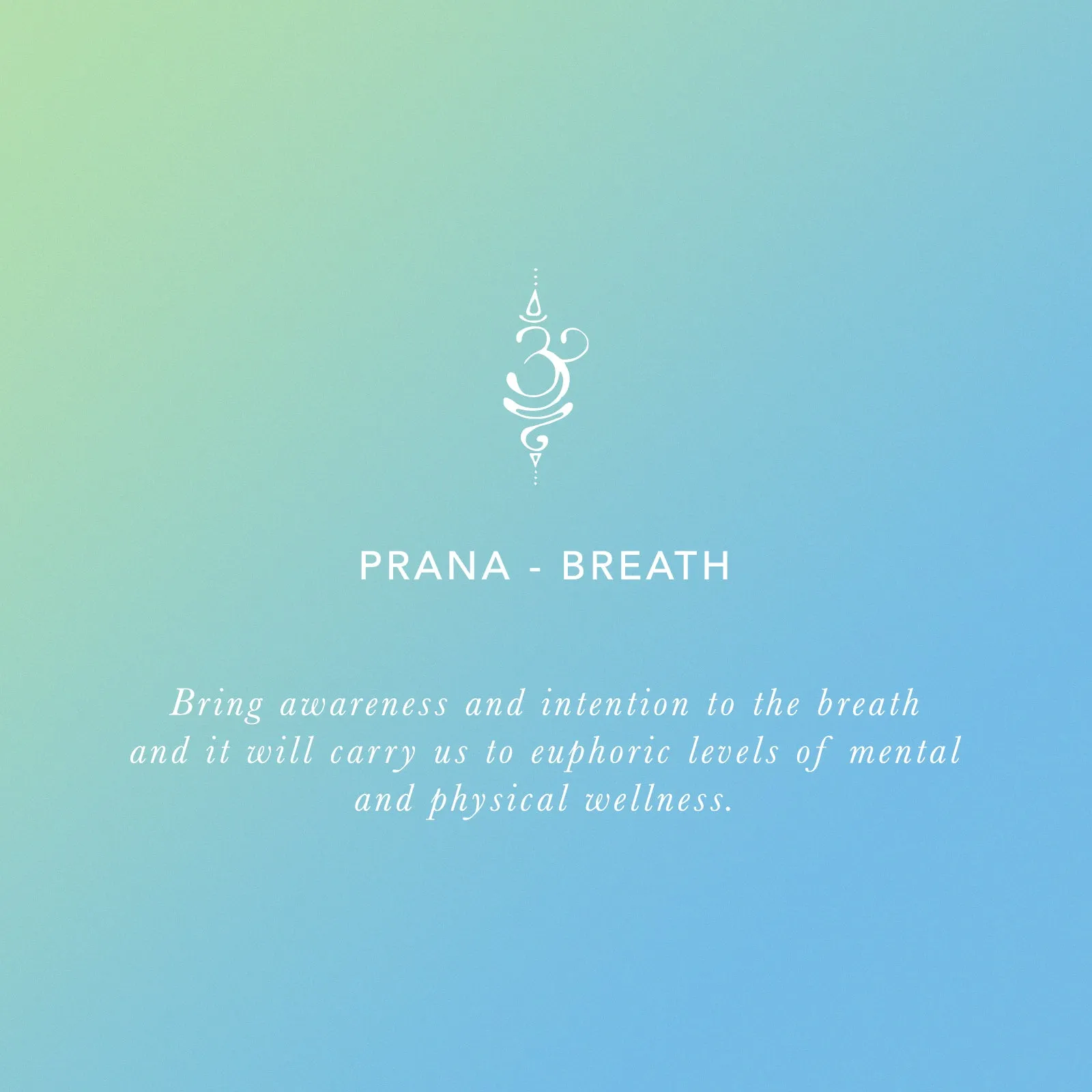 Prana Namaste Bracelet sold by Lotus & Luna product image thumbnail 3