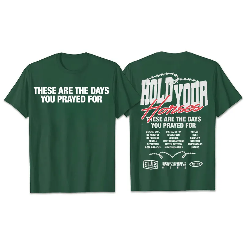 Christianartworkshop Casual Style Hold Your Horses Graphic Unisex T-shirt sold by Christian Art Workshop product image thumbnail 3