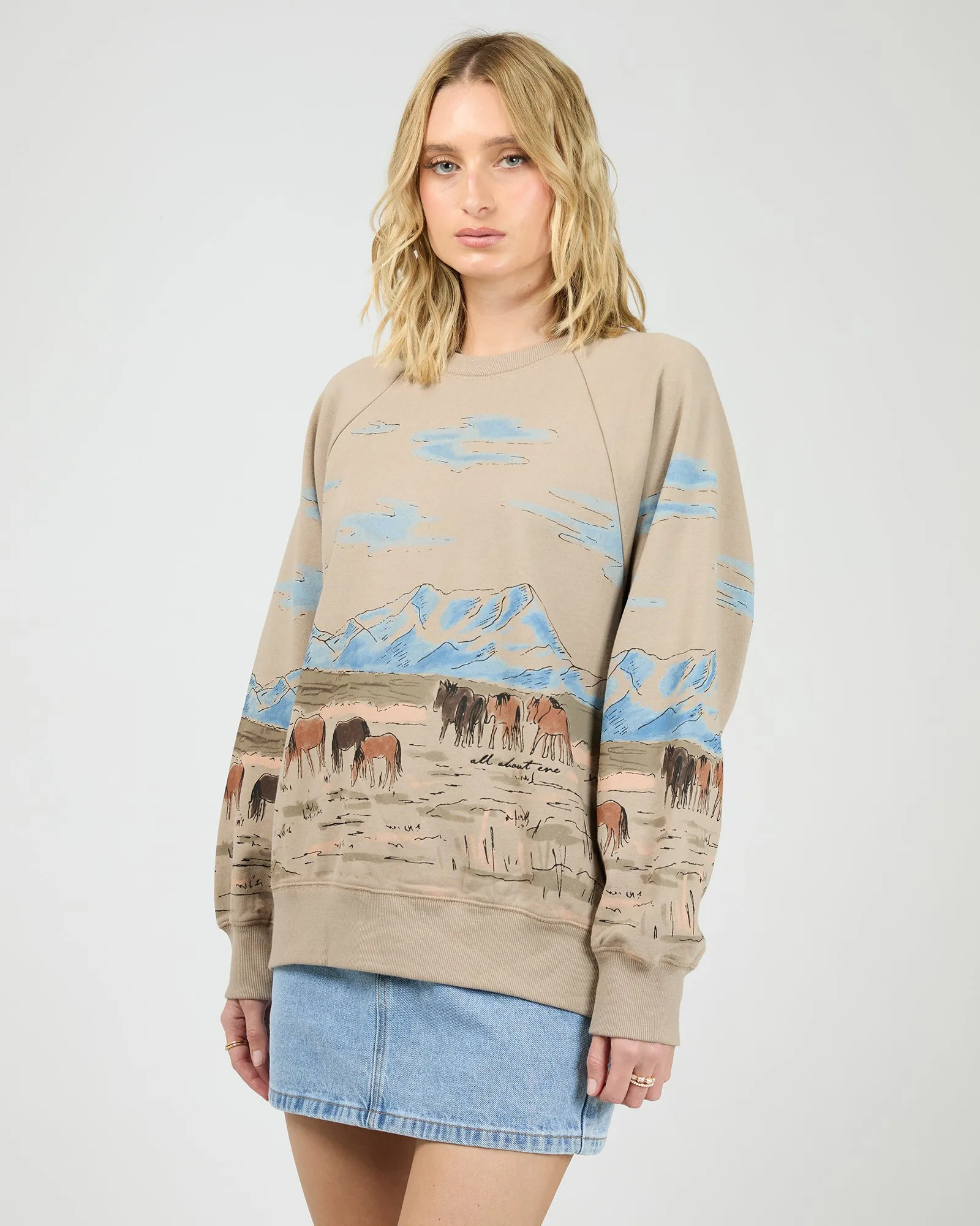 Wild Horses Box Raglan Crew Stone sold by All About Eve product image thumbnail 4