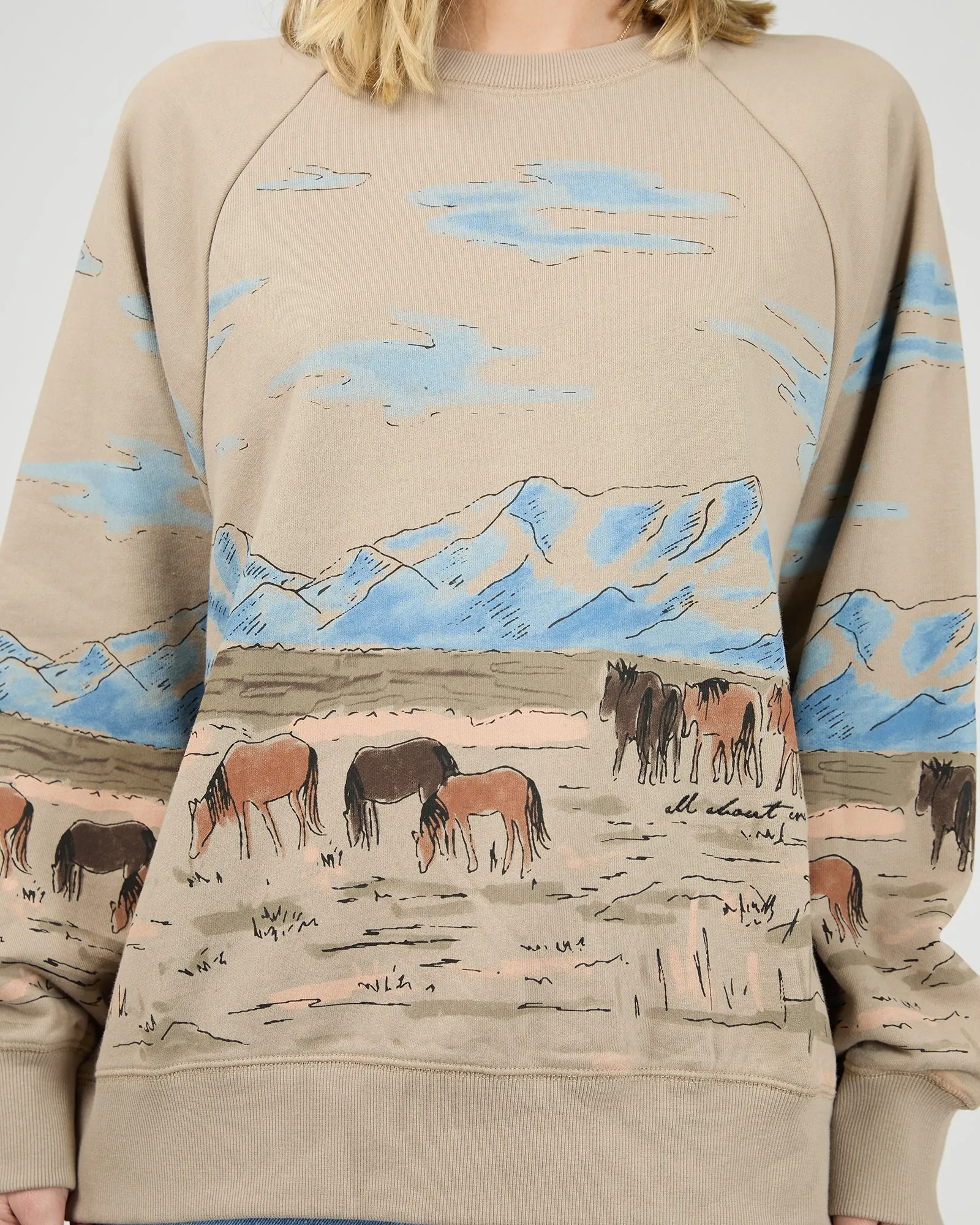 Wild Horses Box Raglan Crew Stone sold by All About Eve product image thumbnail 5