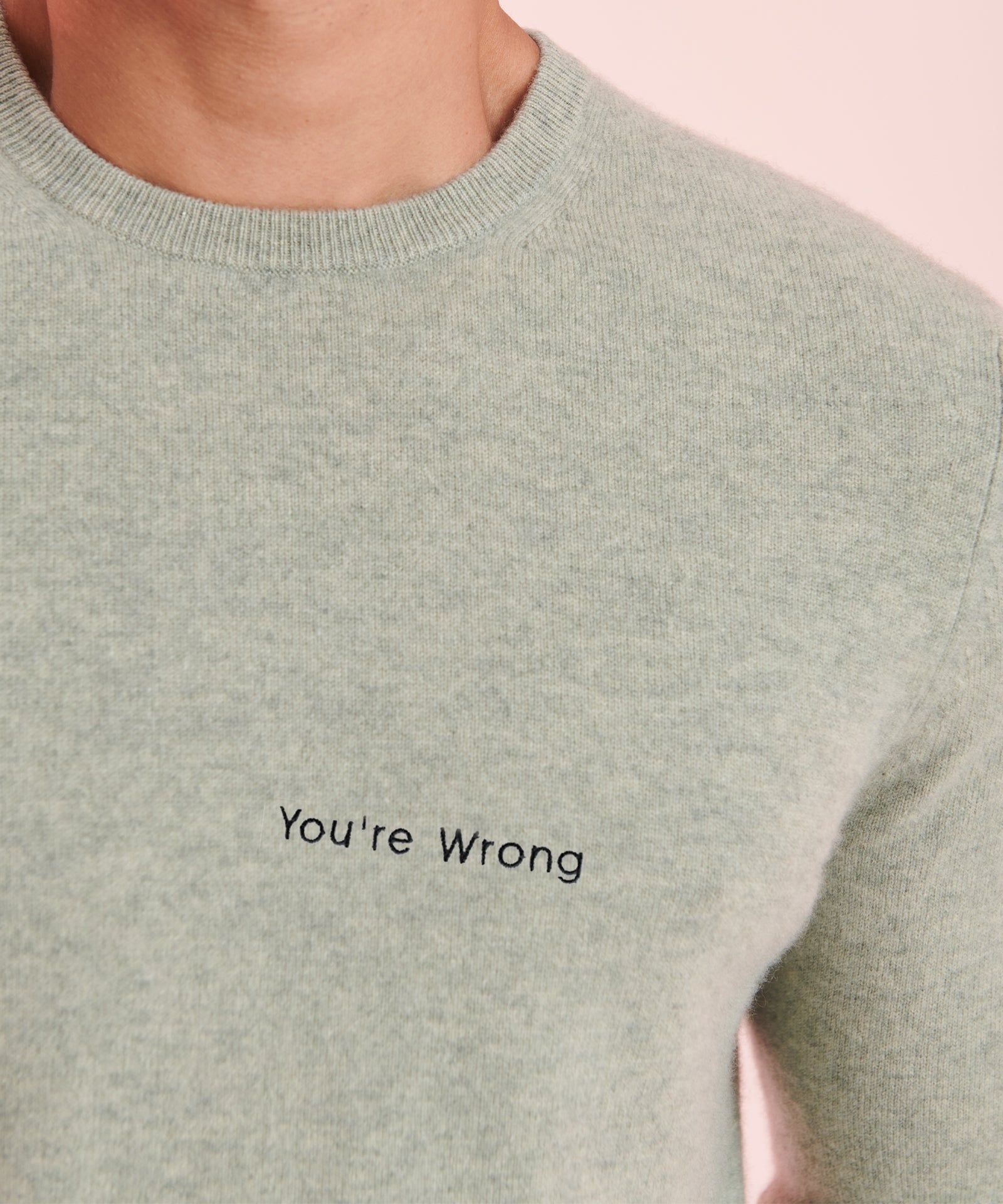 "You're Wrong" - The Original Cashmere Sweater Men's sold by Naadam product image thumbnail 5