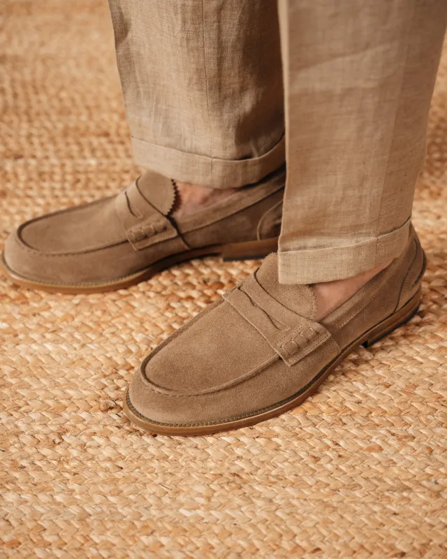 Maester sold by Velasca