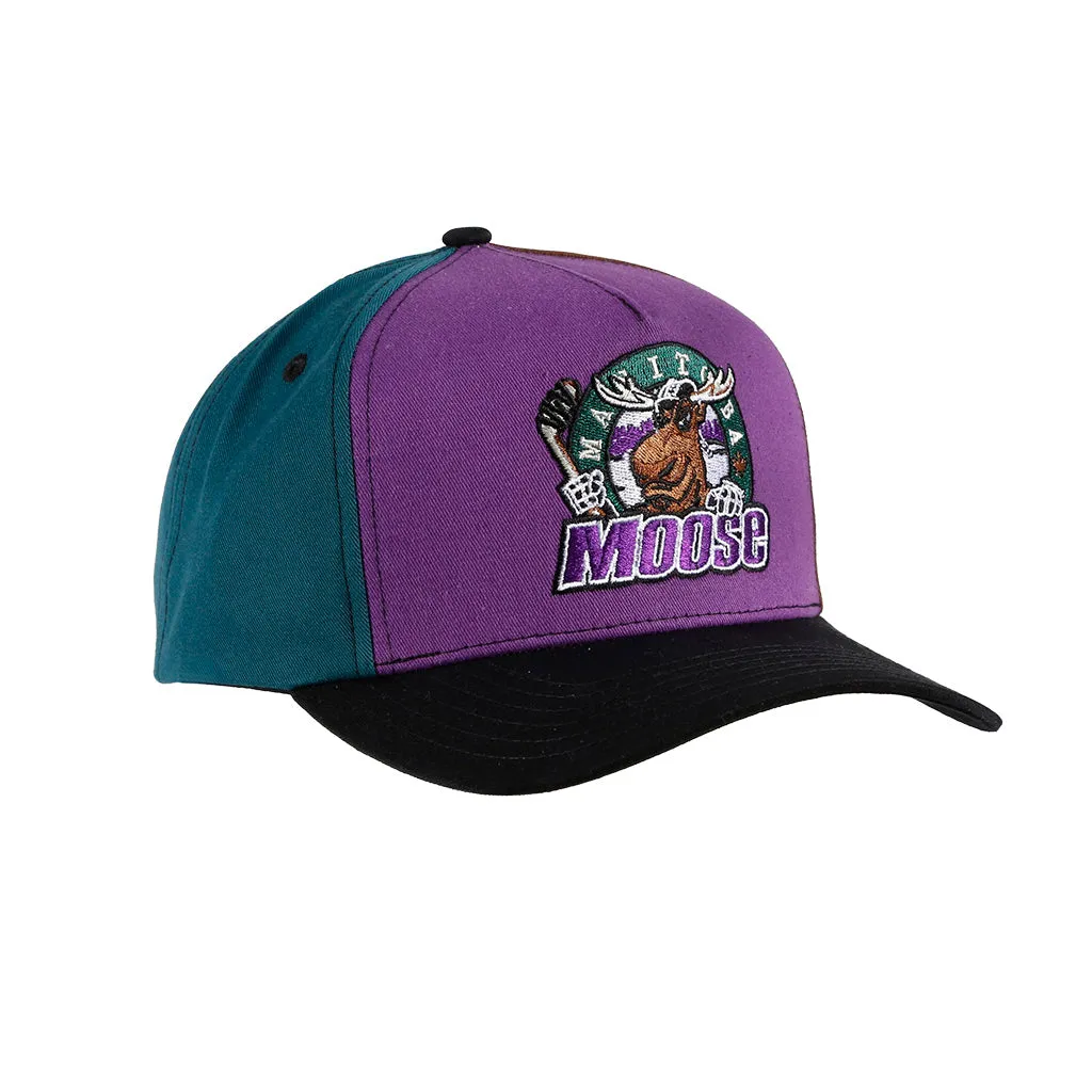 MOOSE FFO RETRO PINWHEEL CAP sold by True North Shop product image thumbnail 4