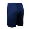 UA TECH MESH SHORTS sold by True North Shop