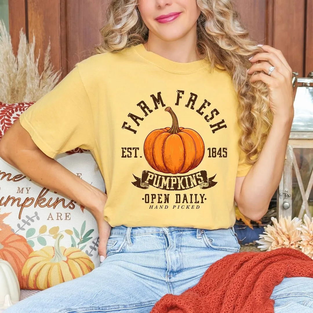 Farm Fresh Open Daily Garment Dyed Tee sold by Zulily product image thumbnail 3