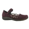 Agathis sold by Zulily