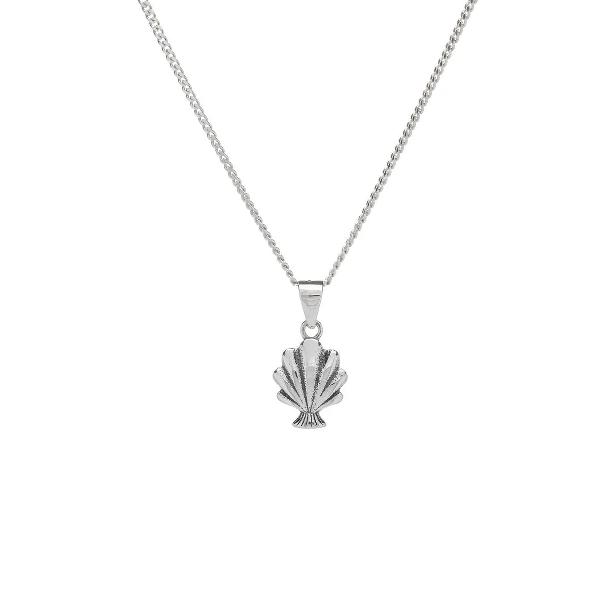 Sterling Silver Sea Shell Pendant Necklace - White sold by Zulily