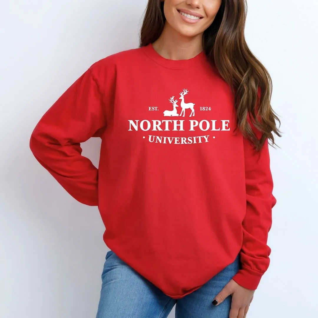 North Pole University Garment Dyed Long Sleeve sold by Zulily product image thumbnail 3