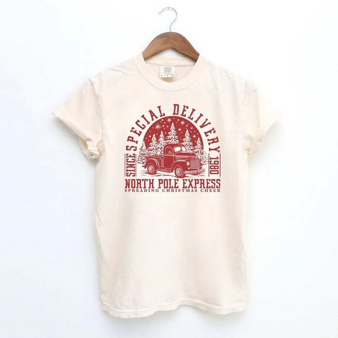 Special Delivery Garment Dyed Tee sold by Zulily product image thumbnail 2