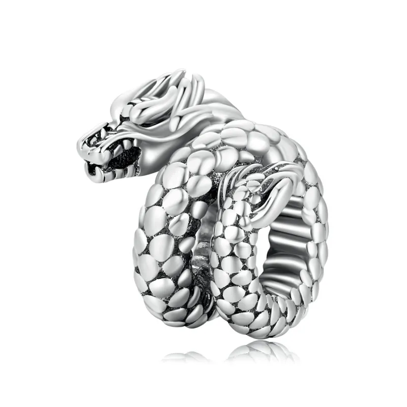 Sterling Silver Coiled Dragon Charm sold by Zulily