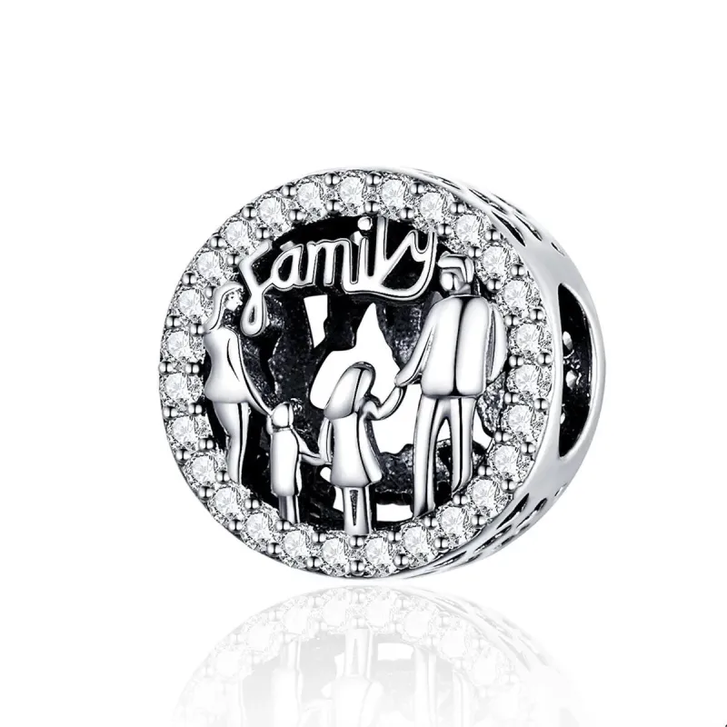 Sterling Silver & CZ 'Family' Bracelet Charm sold by Zulily