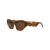 Balenciaga Cat Eye-Frame Acetate Sunglasses - Multi - One Size sold by Zulily