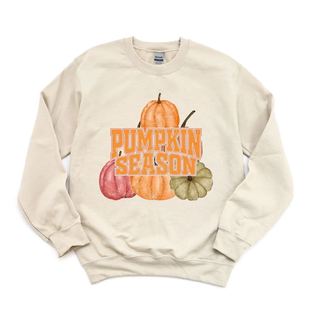 Pumpkin Season Distressed Sweatshirt sold by Zulily product image thumbnail 2