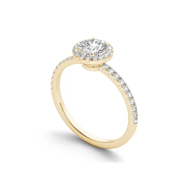 De Couer 14k Yellow Gold 3/4ct TDW Diamond Halo Engagement Ring sold by Zulily product image thumbnail 2