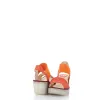 Yiko414Fly sold by Zulily