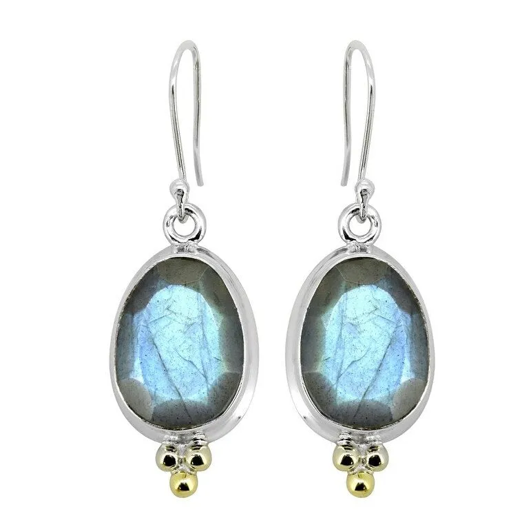 YS Gems Silver Natural Labradorite Dangle Earrings with Brass Accents - 1.55 x .55 sold by Zulily