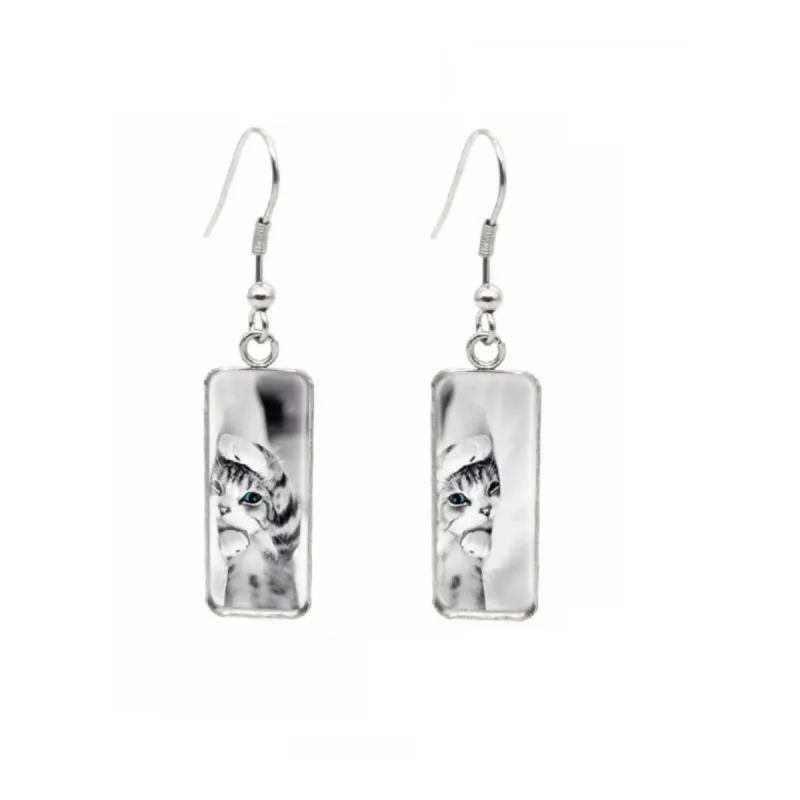 Cat on Books Stainless Steel Glass Dome Rectangular Drop Earrings sold by Zulily
