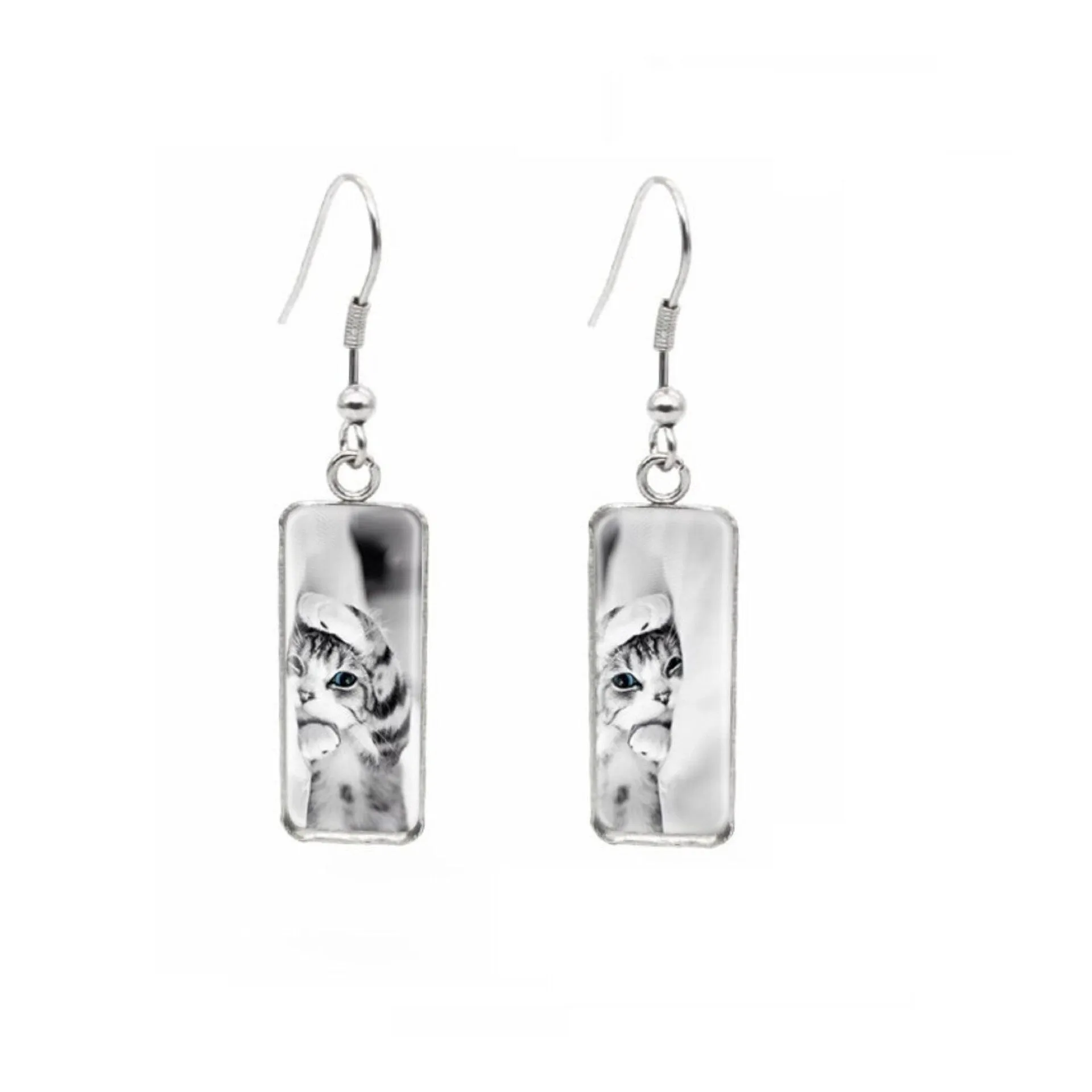 Cat on Books Stainless Steel Glass Dome Rectangular Drop Earrings sold by Zulily