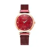 Rec Goldtone Crystal Cat Watch - Red sold by Zulily