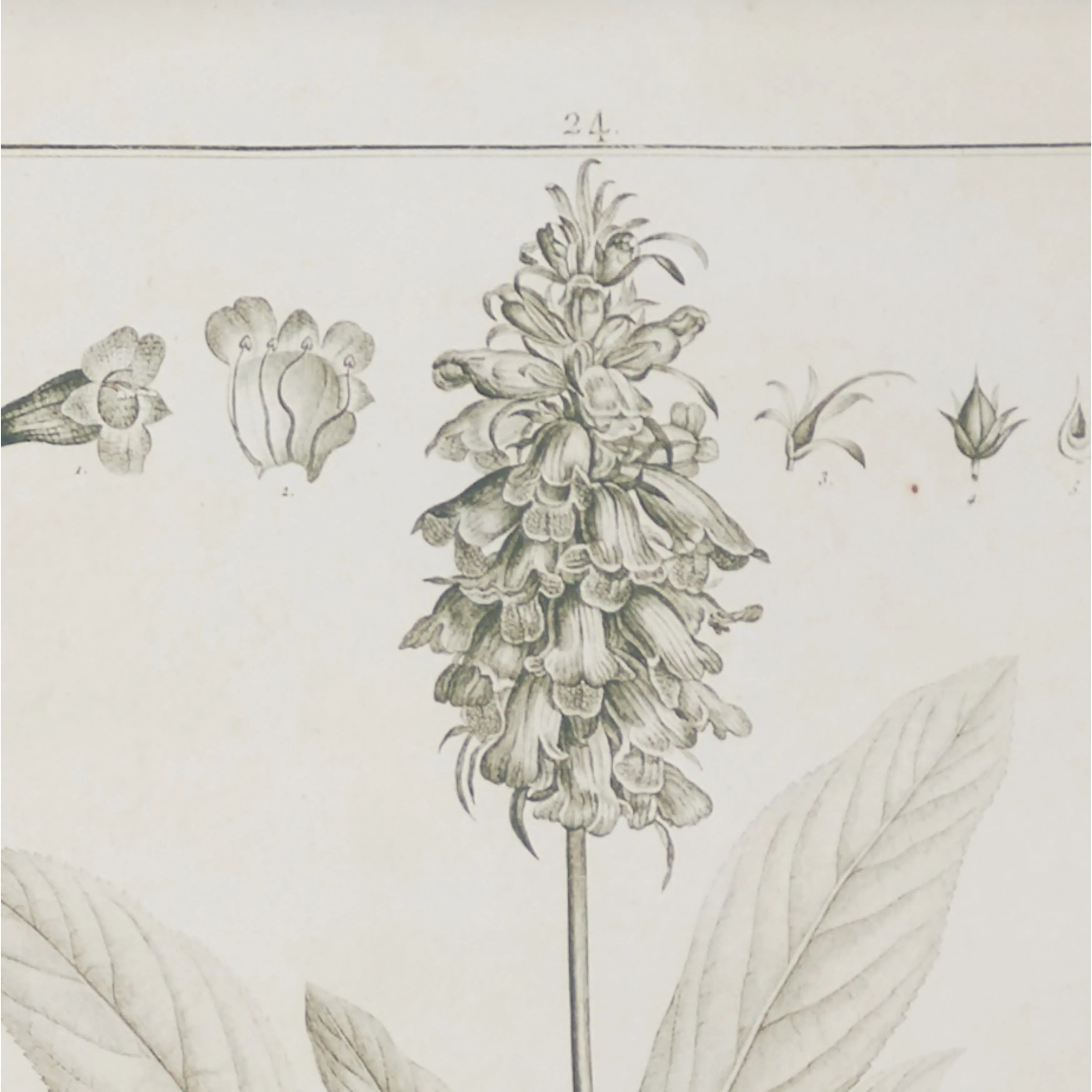 Light Brown Wood Vintage Framed Wall Art (Set of 2) sold by Zulily product image thumbnail 4