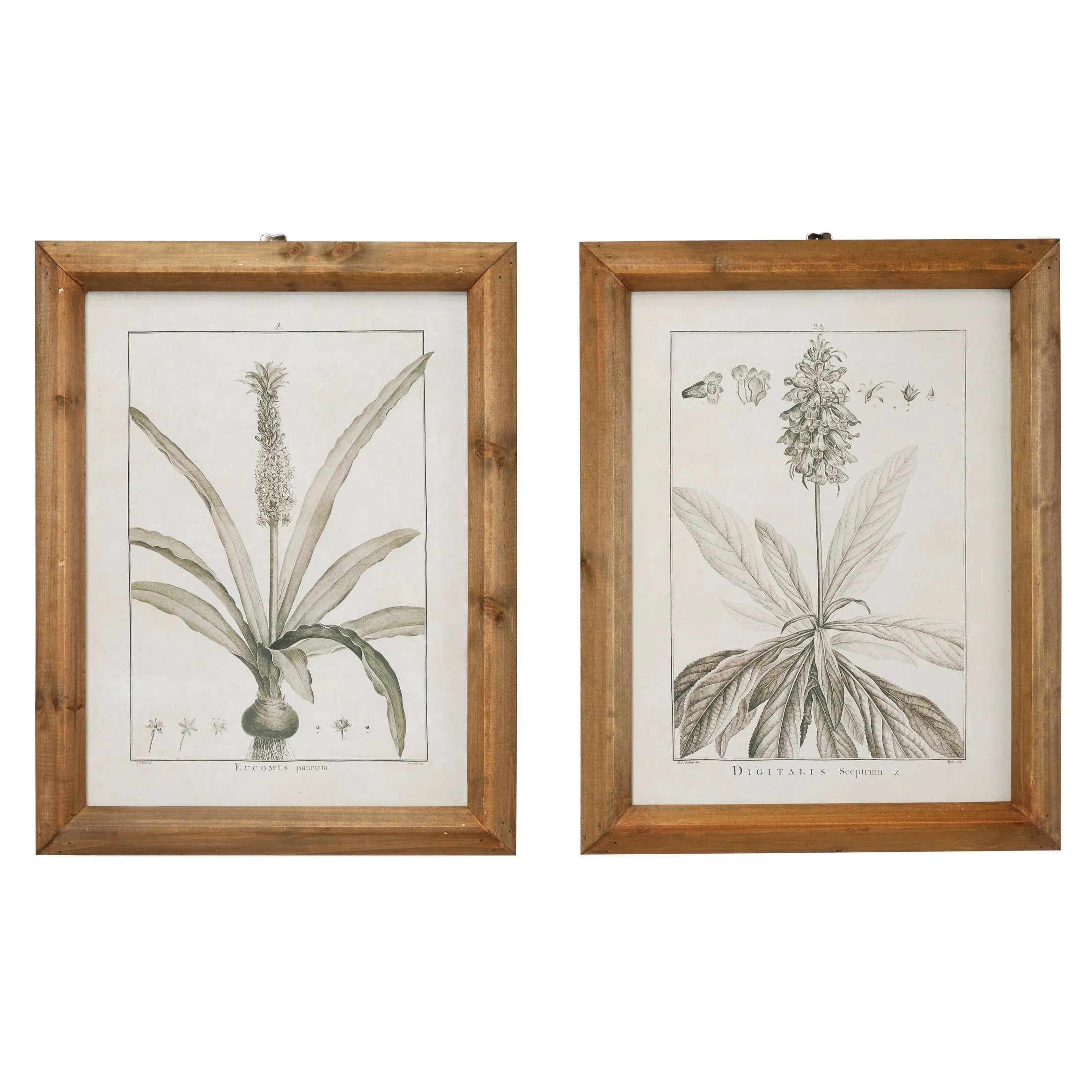 Light Brown Wood Vintage Framed Wall Art (Set of 2) sold by Zulily product image thumbnail 3