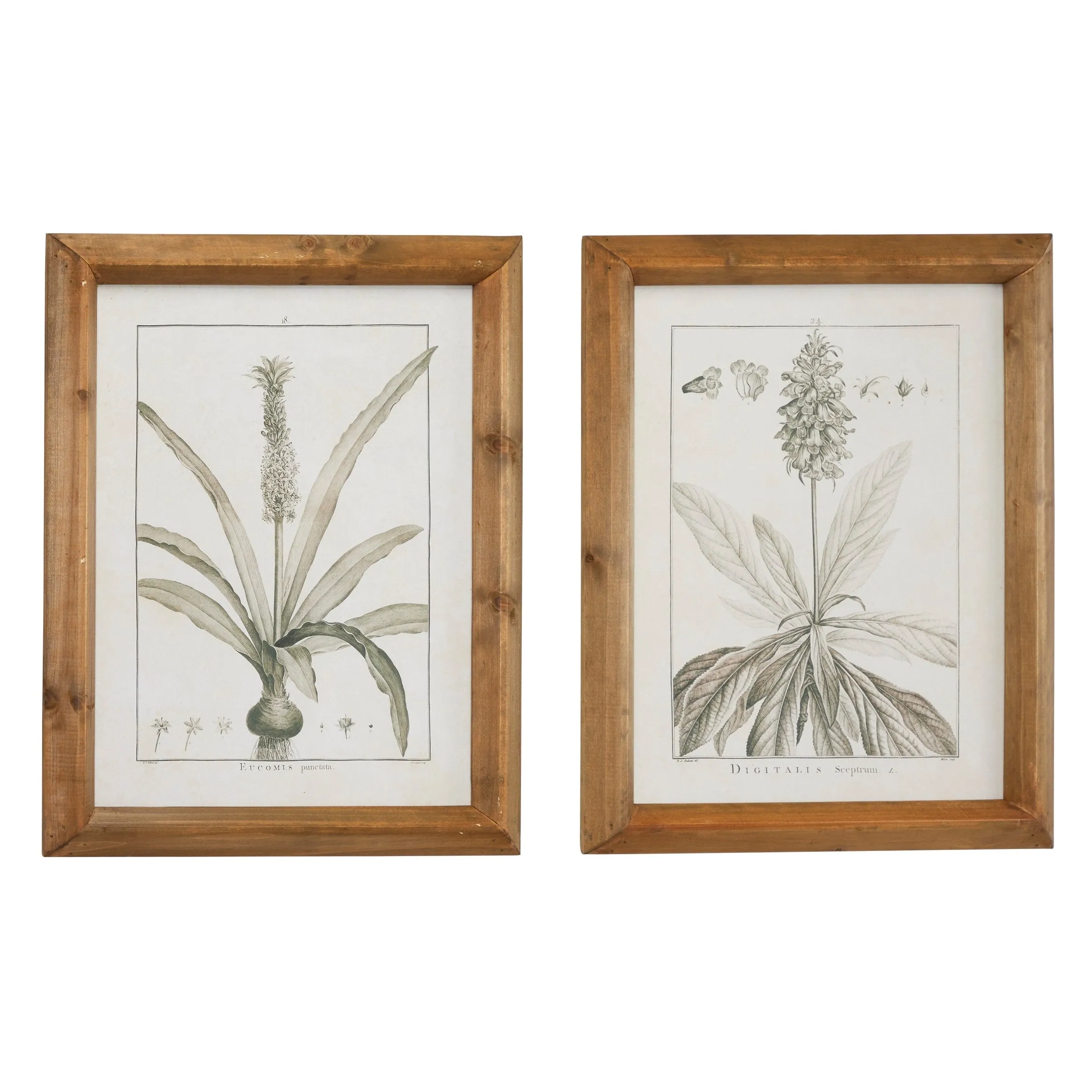 Light Brown Wood Vintage Framed Wall Art (Set of 2) sold by Zulily