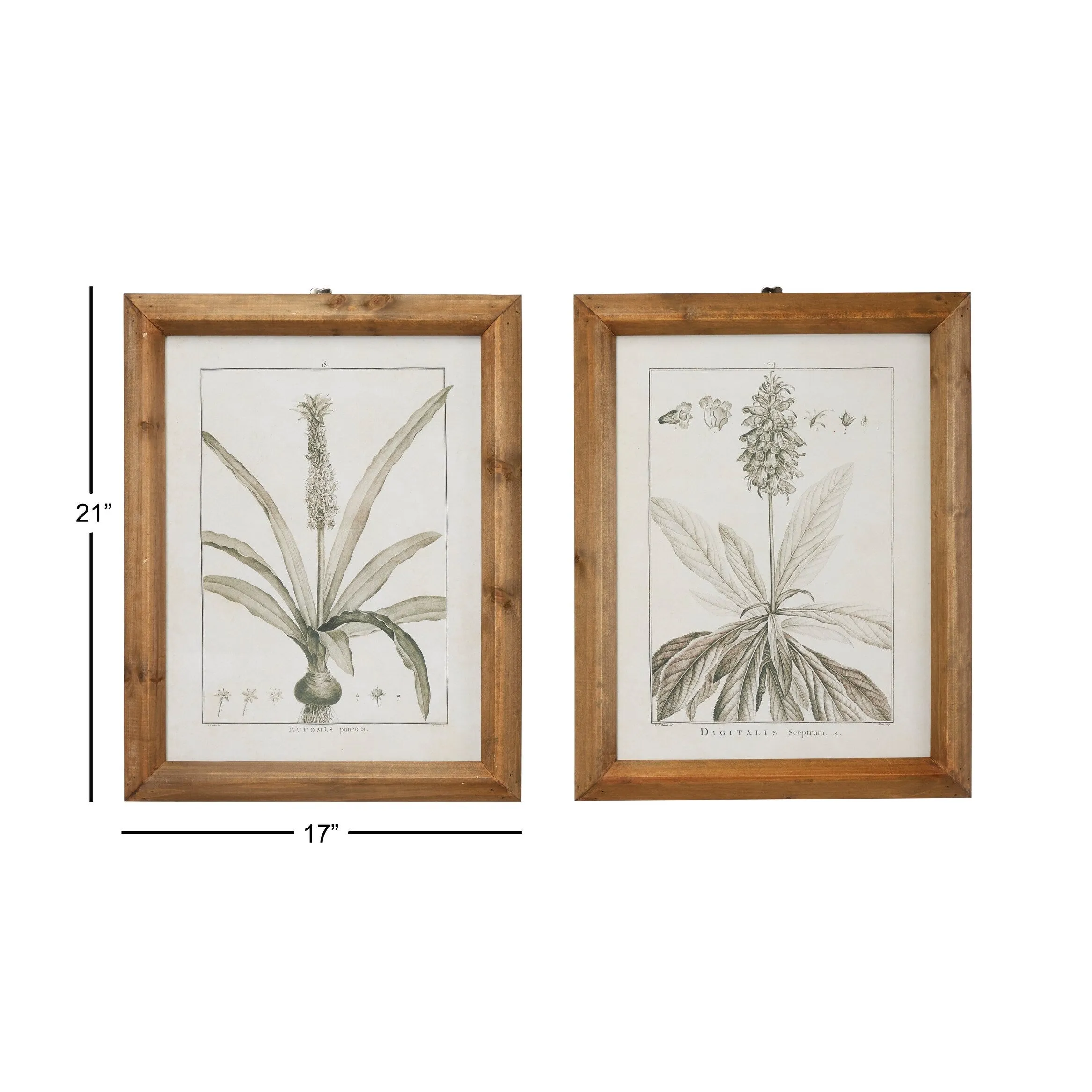 Light Brown Wood Vintage Framed Wall Art (Set of 2) sold by Zulily product image thumbnail 5