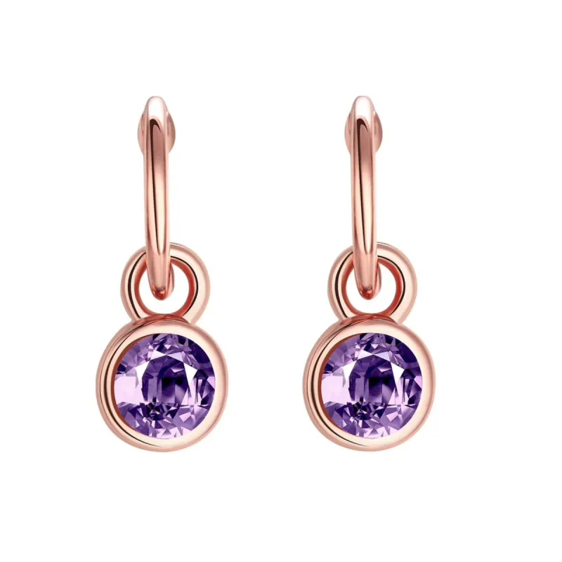 Rose Goldtone Purple Cubic Zirconia Circular Drop Earrings sold by Zulily