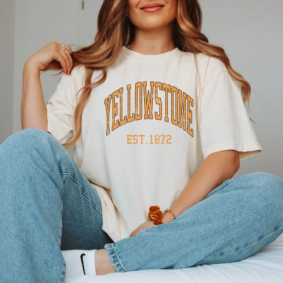 Yellowstone Est. 1872 Garment Dyed Tee sold by Zulily product image thumbnail 2