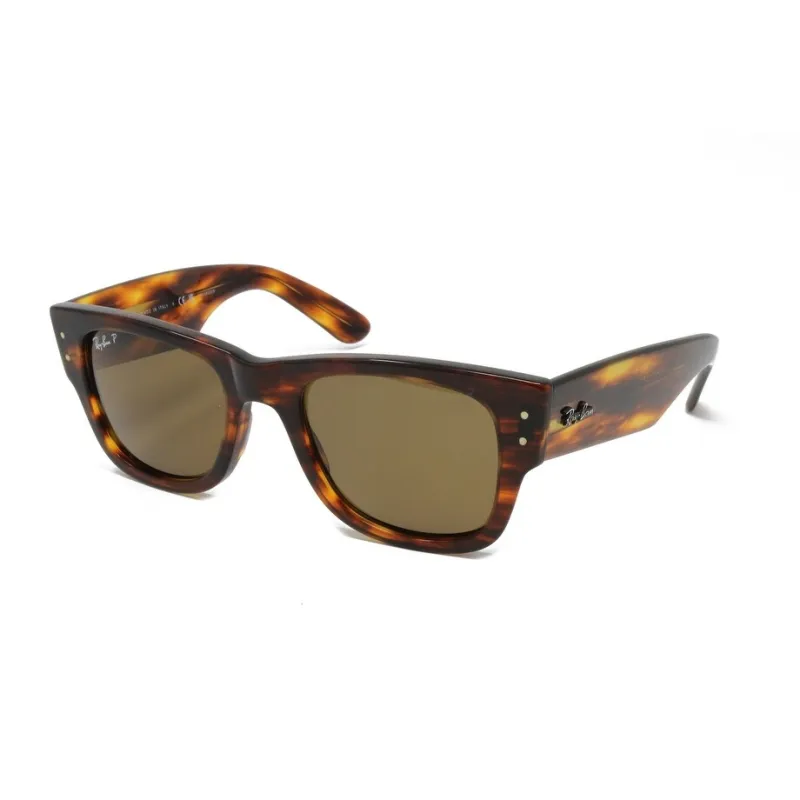 Striped Havana Mega Wayfarer Plastic Sunglasses Polarized sold by Zulily