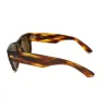 Striped Havana Mega Wayfarer Plastic Sunglasses Polarized sold by Zulily