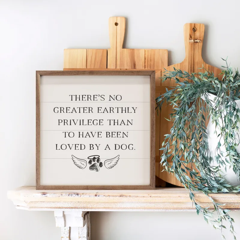 Loved By A Dog White sold by Zulily