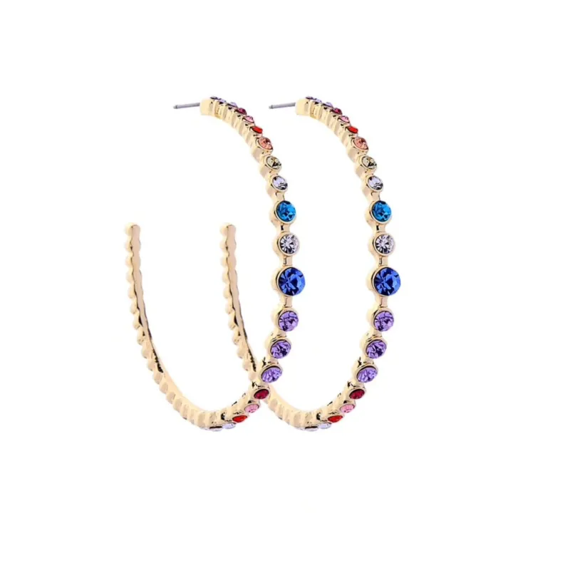 Goldtone Multi Purple Crystal Hoop Earrings sold by Zulily