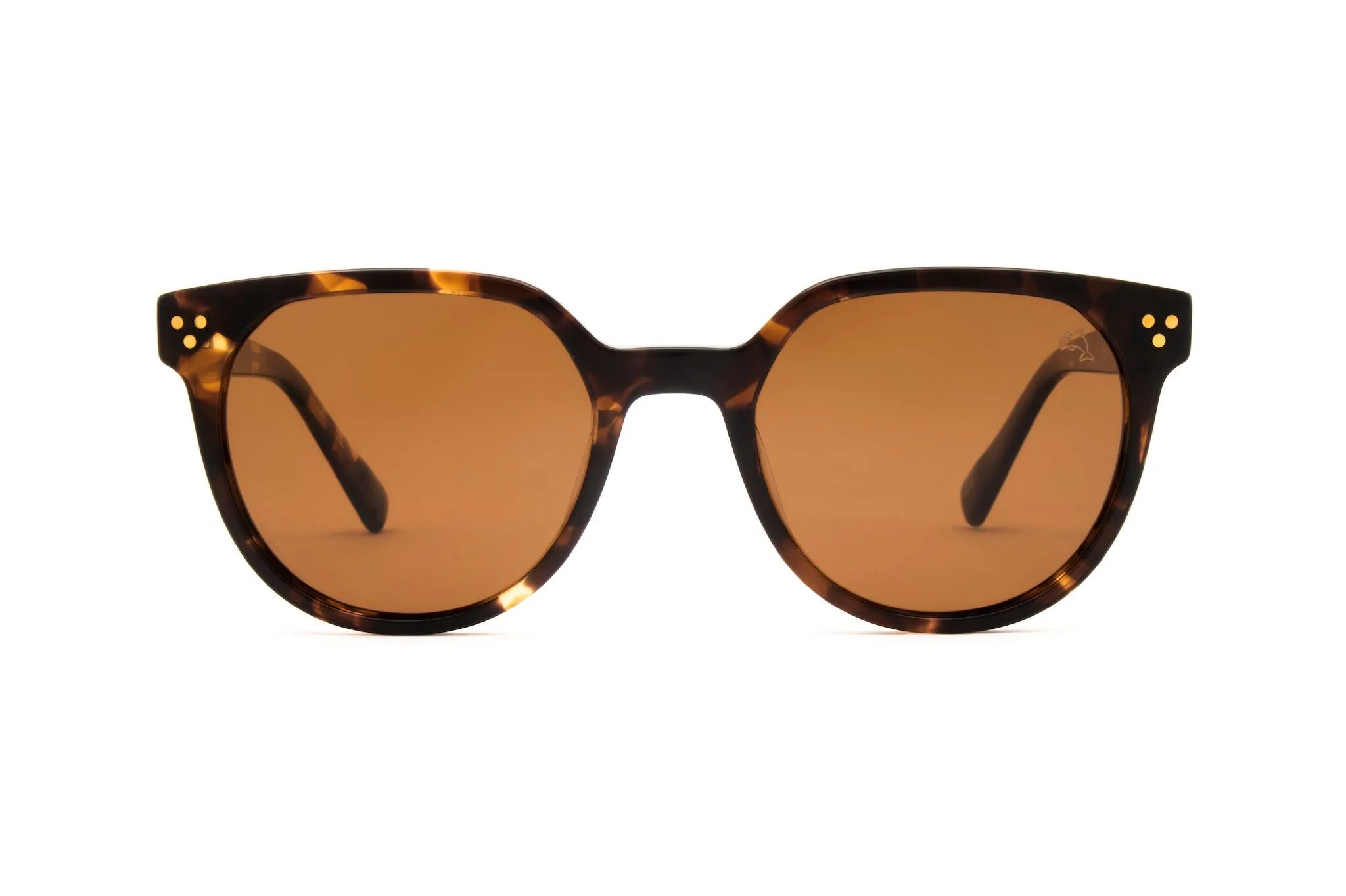 Biscayners Westwood Tortoise Women's Sunglasses sold by Zulily product image thumbnail 2