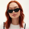TopFoxx Bright as my Future - Women's Black Cateye Sunglasses sold by Zulily